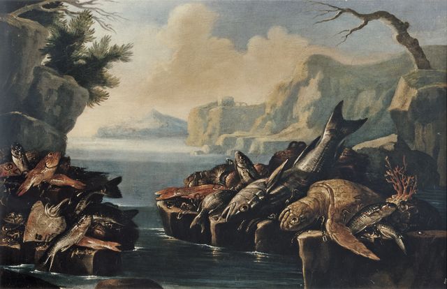 Anonimo — Recco Nicola Maria - sec. XVII/ XVIII - Natura morta con pesci e tartaruga — insieme